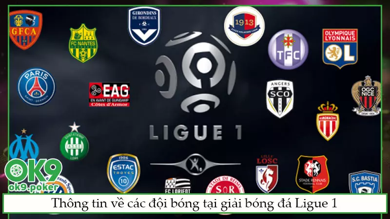 Thông tin về các đội bóng tại giải bóng đá Ligue 1